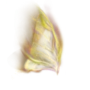 Windcaller Wings