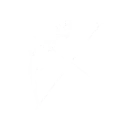 Character Creation Bow
