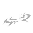 Star Shock