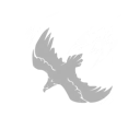 Crow Storm