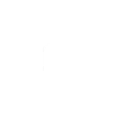 Steel Skull