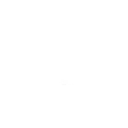 Ambush