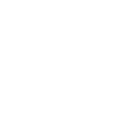 Momentum