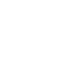Guardian