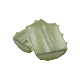 Agave