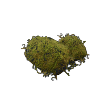 Moss