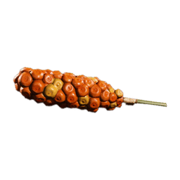 Possibly Toxic Plant