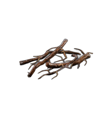 Roots
