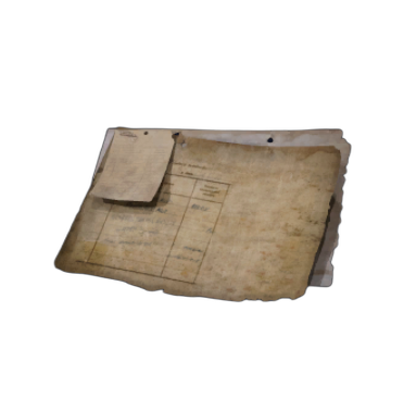 Ancient Fort Security Code