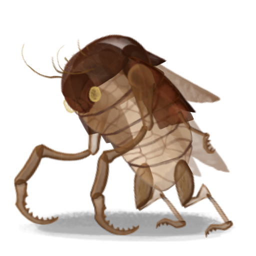 Exoskeleton