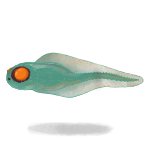 Toadpole