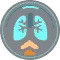 Pressurized Lungs