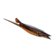 Cooked Black Hoverthorn