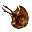 Cooked Halfmoon