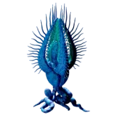 Angel Comb Juvenile