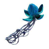 Bloom Canker