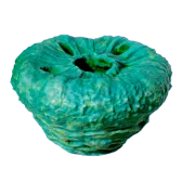 Donut No Worms