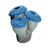 False Fission Drum