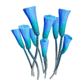 Flagon Spraion