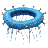 Jelly Ring