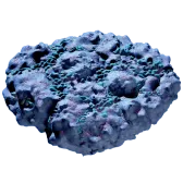 Pebbled Sporal