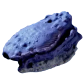 Titan Rockbore