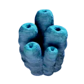 Toxic Sponge