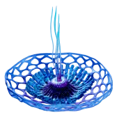 Tripe-bowl Raion