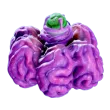Acid Raion