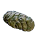 Crab Feces