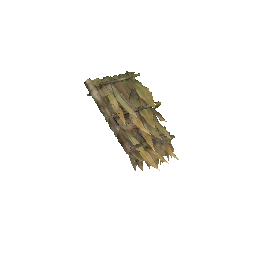 Roof (Leaves)