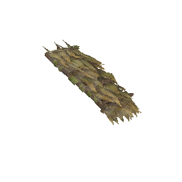 Roof (Leaves)