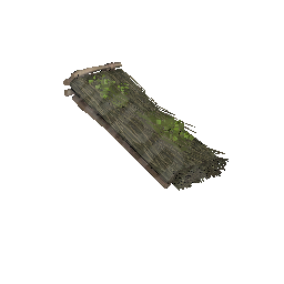 Roof (Reed)
