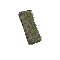 Roof (Reed)