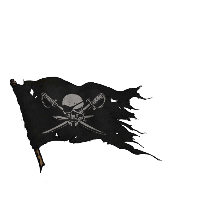 Brethren of the Coast Flag