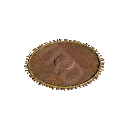 Woven Rug