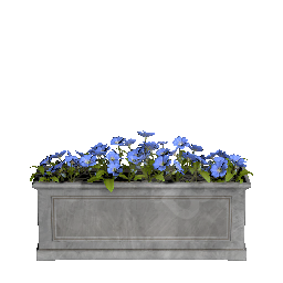 Flower Pot