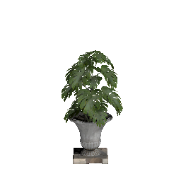 Plant Pot