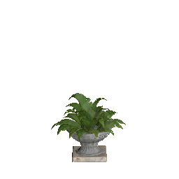 Plant Pot