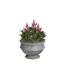 Large Pot