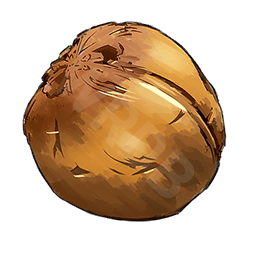 Food Raw Coconut T01