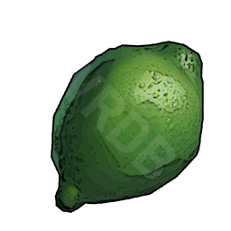 Food Raw Lime T02