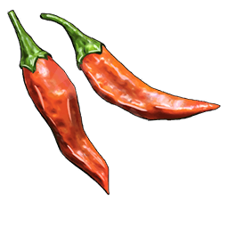 Food Raw Pepper T01