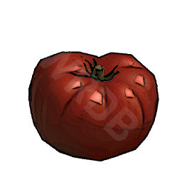Food Raw Tomato T02