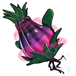 Raw Umbra Fruit T03