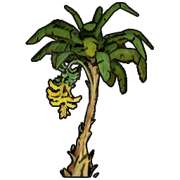 Banana Sapling