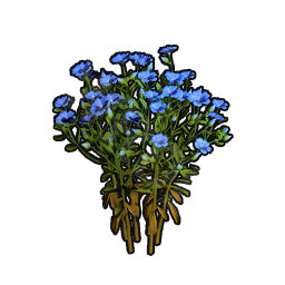 Flax Sapling