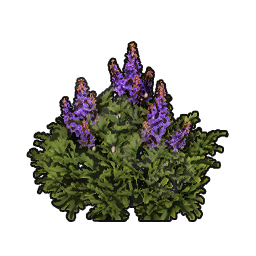 Healing Herb Sapling