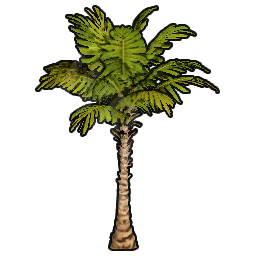 Palm Sapling