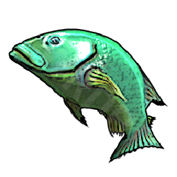 Emerald Bluefish